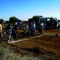 SEMANA CULTURAL.Carrera de galgos