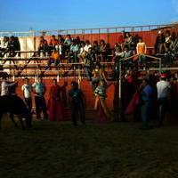 FERIA 2006. Vaquillas