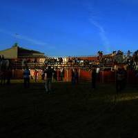 FERIA 2006. Vaquillas