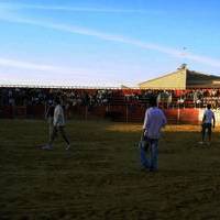 FERIA 2006. Vaquillas