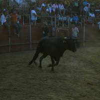 FERIA 2006. Vaquillas