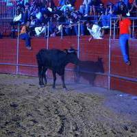 FERIA 2006. Vaquillas