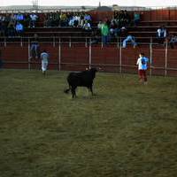 FERIA 2006. Vaquillas