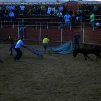 FERIA 2006. Vaquillas