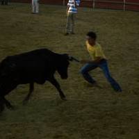 FERIA 2006. Vaquillas