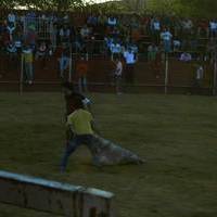 FERIA 2006. Vaquillas