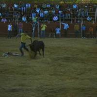 FERIA 2006. Vaquillas