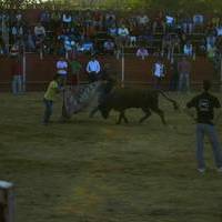 FERIA 2006. Vaquillas