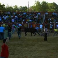 FERIA 2006. Vaquillas