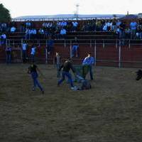 FERIA 2006. Vaquillas