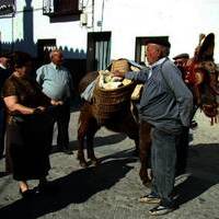 DIA DEL CALERO 2009