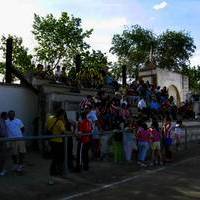 FUTBOL- 7 FIESTA DE PRIMAVERA