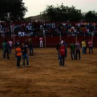 FERIA 2007 (I)