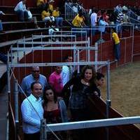 FERIA 2007 (I)