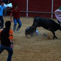 FERIA 2007 (I)