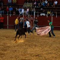 FERIA 2007 (I)