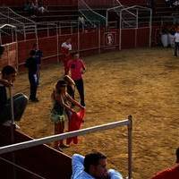 FERIA 2007 (I)