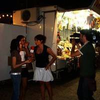 FERIA 2007 (II)