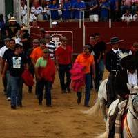 FERIA 2007 (II)