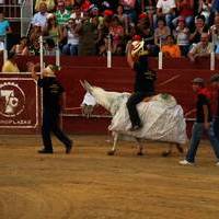 FERIA 2007 (II)