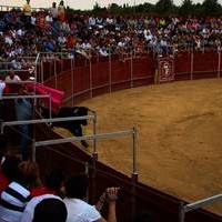 FERIA 2007 (II)