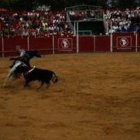 FERIA 2007 (II)