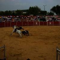 FERIA 2007 (II)