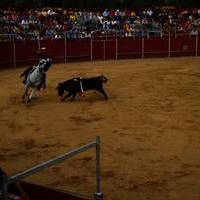 FERIA 2007 (II)