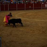 FERIA 2007 (II)