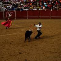 FERIA 2007 (II)