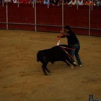 FERIA 2007 (II)