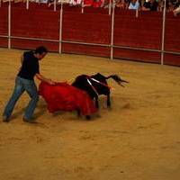 FERIA 2007 (II)