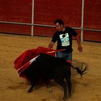 FERIA 2007 (II)