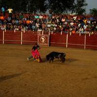 FERIA 2007 (II)