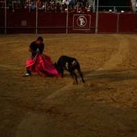 FERIA 2007 (II)