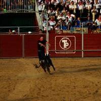 FERIA 2007 (II)