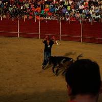 FERIA 2007 (II)