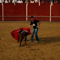 FERIA 2007 (II)