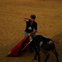 FERIA 2007 (II)