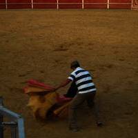 FERIA 2007 (II)