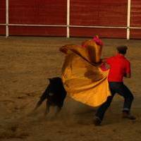 FERIA 2007 (II)