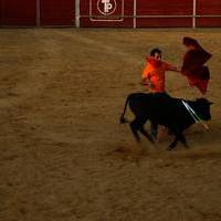 FERIA 2007 (II)