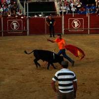 FERIA 2007 (II)