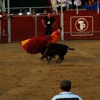 FERIA 2007 (II)