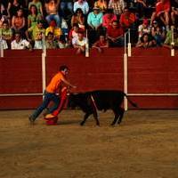 FERIA 2007 (II)