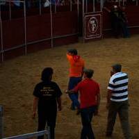 FERIA 2007 (II)