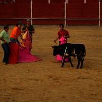 FERIA 2007 (II)