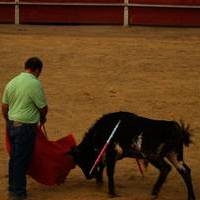 FERIA 2007 (II)