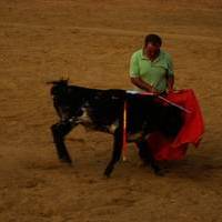 FERIA 2007 (II)