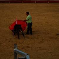 FERIA 2007 (II)